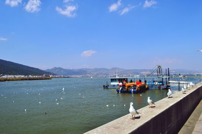 Boats in sea