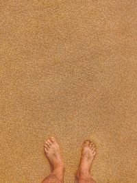 Low section of man standing on beach