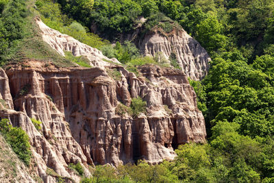 Rock formations in a forest