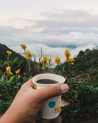 Cropped image of hand holding cola in cup at park