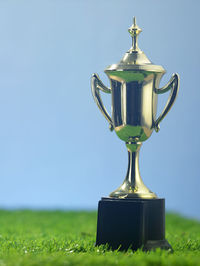 Close up trophy on the artificial grass
