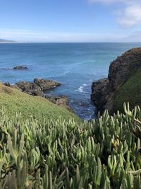 Scenic view of sea against sky