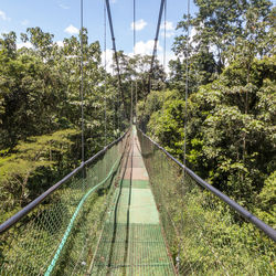 Railroad tracks amidst trees in forest against sky