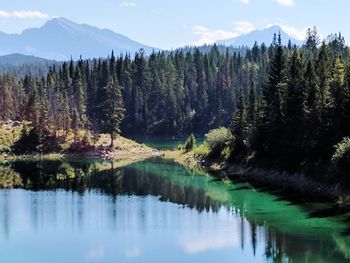 Scenic view of river by trees against sky