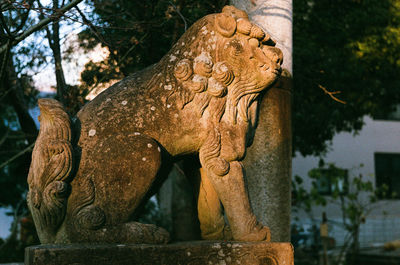 Close-up of old statue against trees