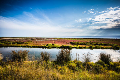 Scenic view of landscape against cloudy sky