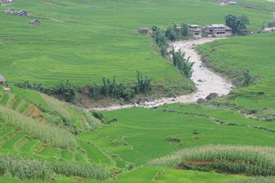 High angle view of river amidst field