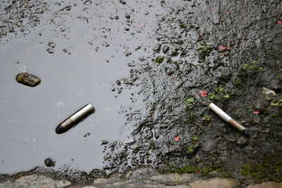 High angle view of cigarette on water