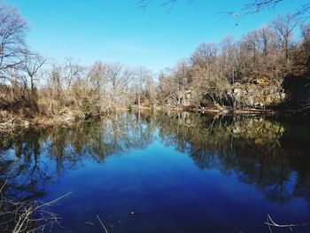 Reflection of trees in lake against blue sky