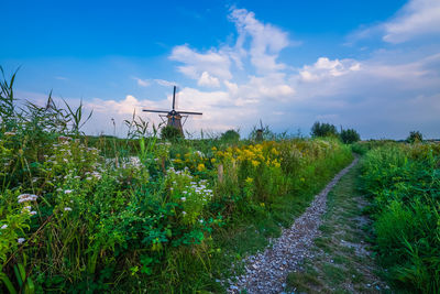 View of traditional windmill on field against sky