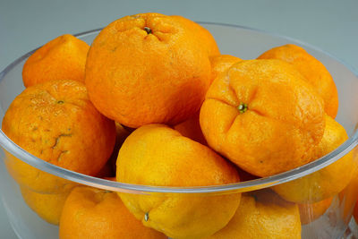 Close-up of oranges in bowl