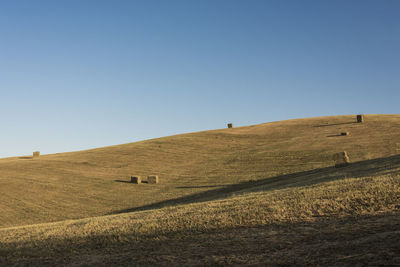 Scenic view of field against clear sky