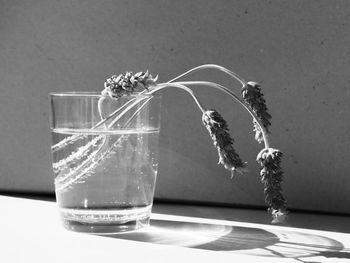 Close-up of glass vase on table