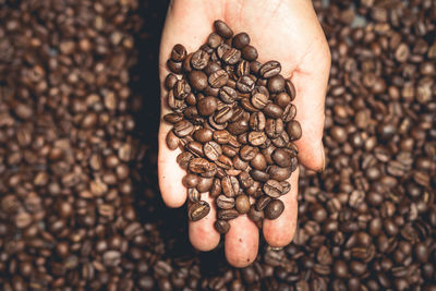 Cropped hand holding coffee beans