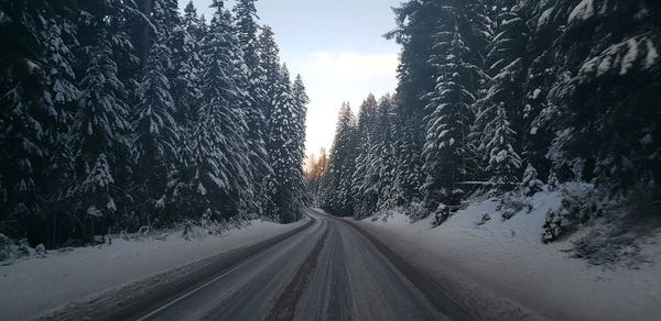 Snow covered road amidst trees against sky