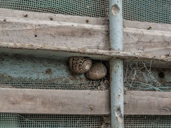 Close-up of rusty metal on wall