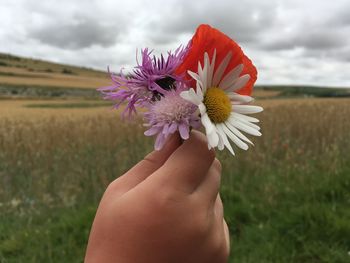 Close-up of woman hand holding flower against sky