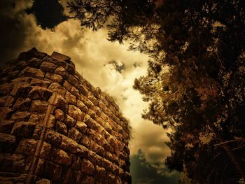 Low angle view of trees and buildings against sky