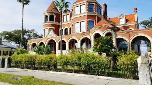 Palm trees and building against sky