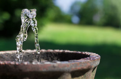 Close-up of water in grass