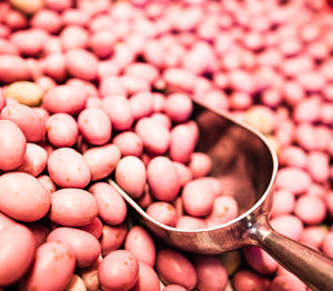 High angle view of fruits in container