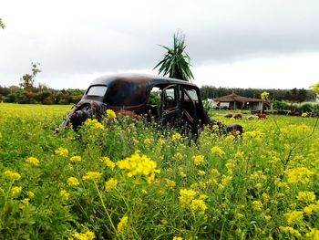 Abandoned cart on field against sky