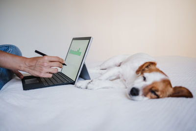 Woman working on financial data with computer. analyzing graphics.cute dog besides. home office