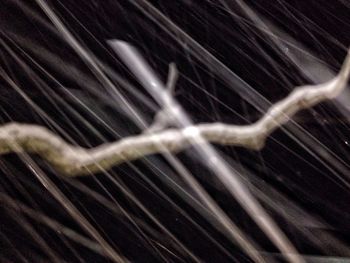 Close-up of abstract background