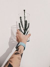 Low angle view of hand against wall