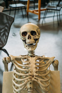 Close-up of old human skeleton on chair