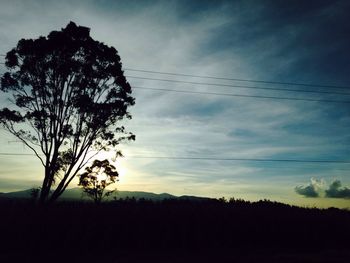 Silhouette of trees on landscape at sunset