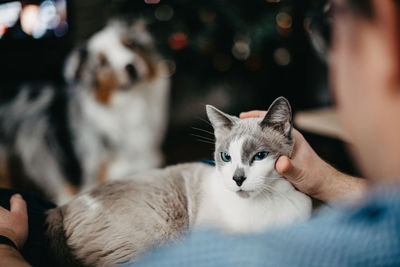 Cat and men on floor