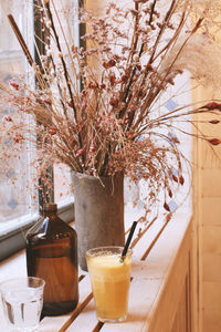 Close-up of potted plant on table
