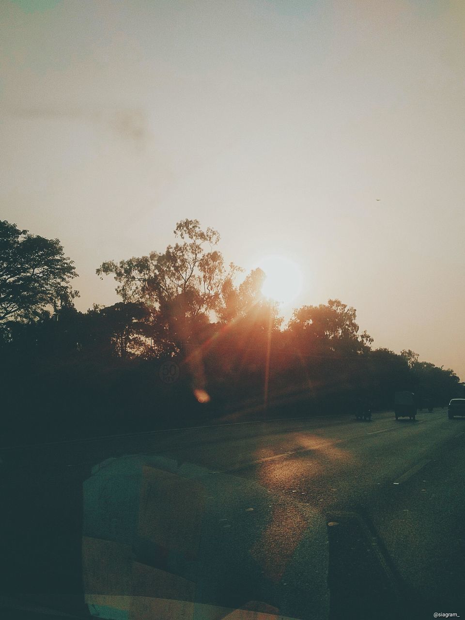 sky, tree, sunlight, plant, sun, nature, beauty in nature, tranquility, sunset, lens flare, tranquil scene, scenics - nature, field, landscape, sunbeam, no people, environment, land, outdoors, clear sky, bright, solar flare