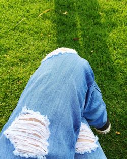 Close-up of grass in field