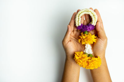 Midsection of woman holding purple flower against white background