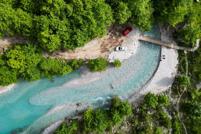 High angle view of river amidst trees