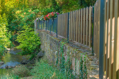 Plants by railing and fence by trees