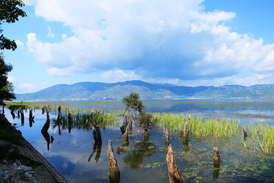 Erhai tongue park of erhai lake in dali, yunnan, china