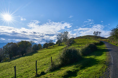 Scenic view of field against sky