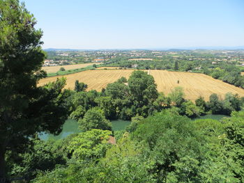 Scenic view of agricultural field against clear sky