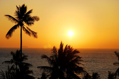 Silhouette palm tree against sea during sunset