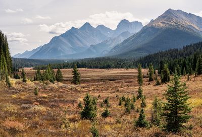 Scenic view of mountains against sky in spray valley provincial park - kananaskis country, alberta