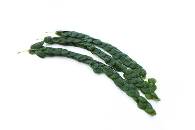 Close-up of leaf over white background