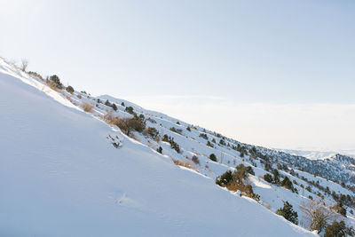 Snow slopes of the tien shan mountains in uzbekistan in the beldersay ski resort 