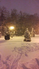 View of snow covered trees