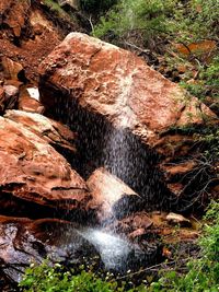 High angle view of water flowing through rocks in forest