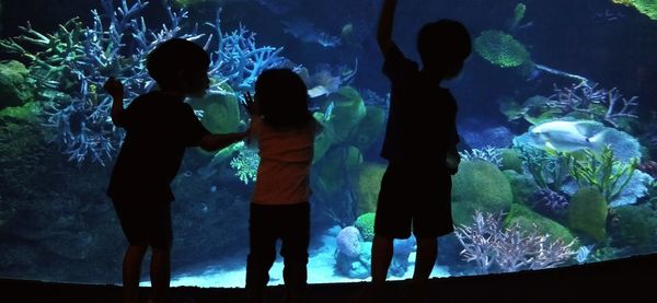 Group of people at aquarium