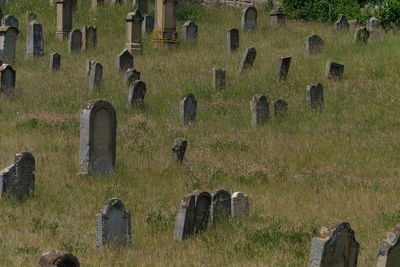 Panoramic view of cemetery on field