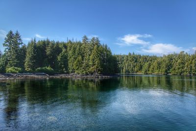 Scenic view of lake in forest against sky